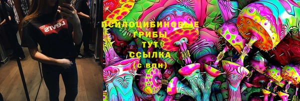 шишки Вязьма